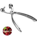 Cherry and Olives Seed Remover