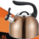 Dosthoff Copper Shine SS 18/10 Whistling Kettle 3.0 L