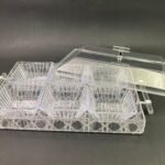 Acrylic Rectangular Condiment Tray with 6 Bowls and Cover