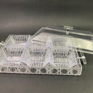 Acrylic Rectangular Condiment Tray with 6 Bowls and Cover
