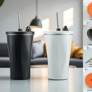 Leak Proof 600 ml Travel Cup with SS Straw