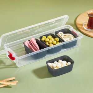 Organizers Food Box 2.3L with 4 Small Bowls