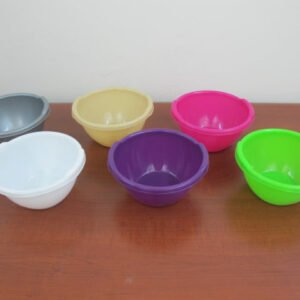 Small Plastic Colorful Bowl X2