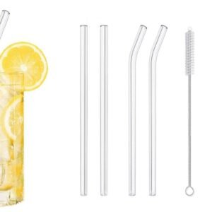 Set of 4 Glass Straws with cleaning brush
