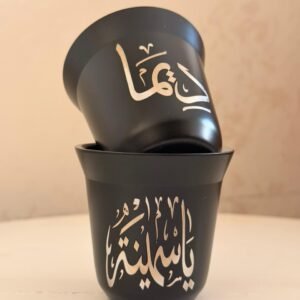Customized Double Wall Insulated Stainless Steel Espresso Cup 80 ML