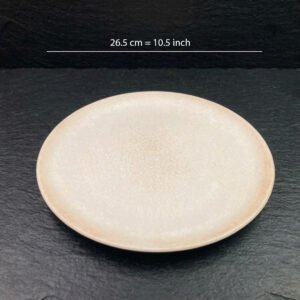 Beige Marble Melamine Dinner Plate 10.5" X6