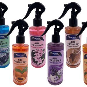 Evernet Air Freshener Sanitizer and Disinfectant 250 ml