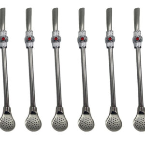 Set of 6 Stainless Steel Matteh Straws