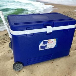 Ice box with wheels, handles and plug; 110lt